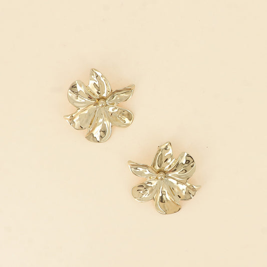 BOUCLES PUCES YLENE