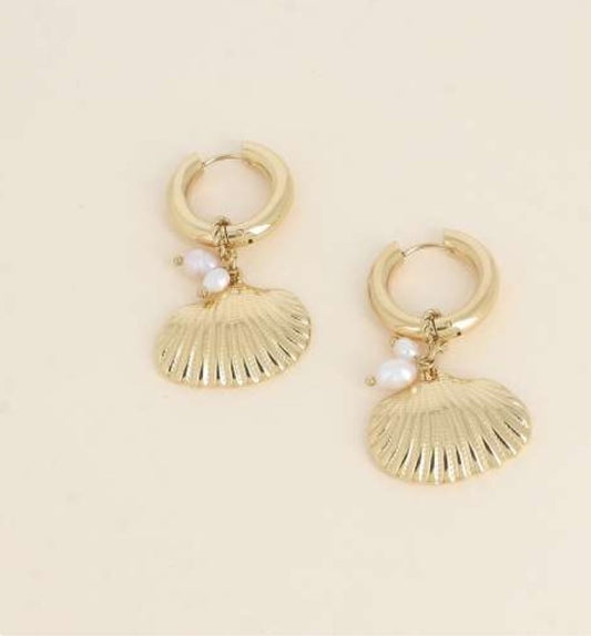 CREOLES - PERLES D'EAU DOUCE ET COQUILLAGE